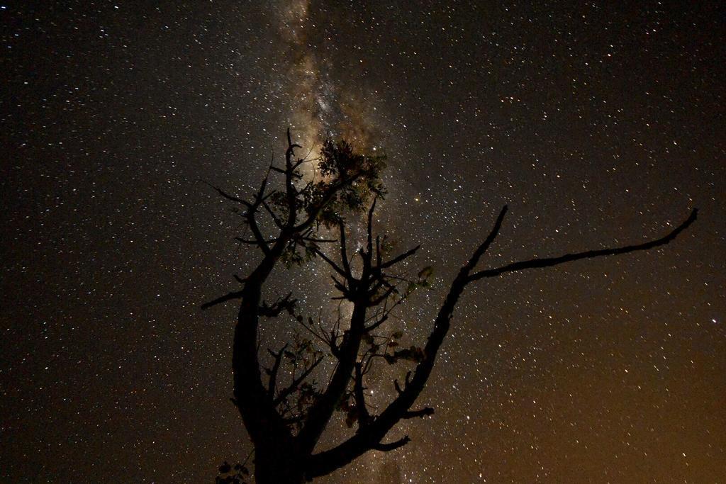 Pousada Encantos Do Cerrado Delfinópolis Kültér fotó